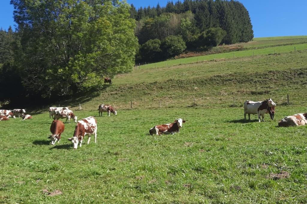 Apartment Vercors 4 Personnes